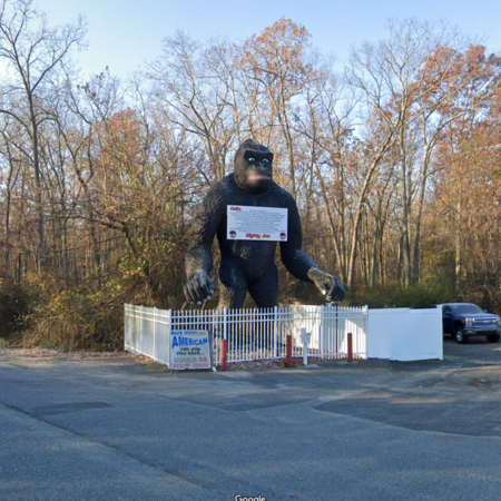 Mighty Joe Statue